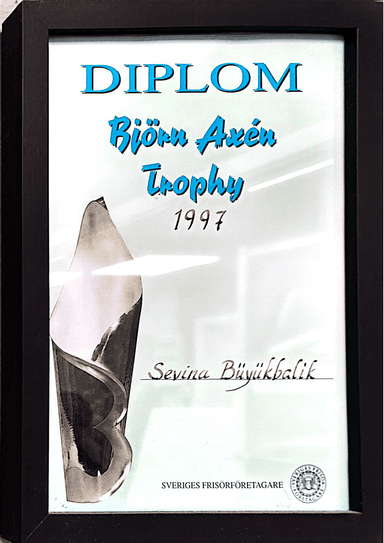 Diplom 11